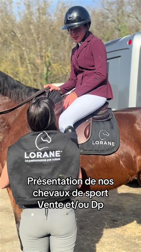 Découvrez nos chevaux de sport | Haras de Lorane