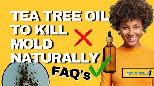 How To Use Tea Tree Oil to Kill Mold Naturally - How To Home Tips