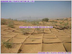 [Hot Item] Shade Net for Sand Control in Desert
