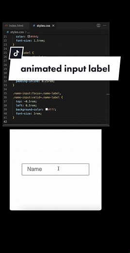 animated input label #html #input #animation #webdesign #webdev #webcoding #csscoding #coding #webdevelopment #learncoding #learntocode