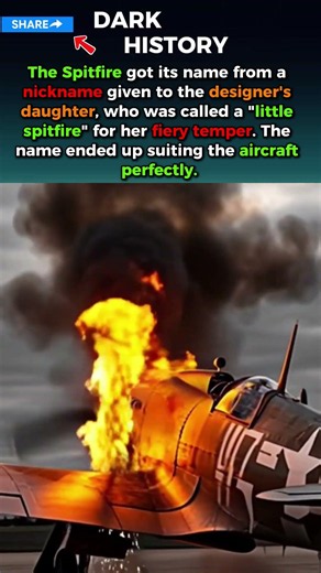 How the Spitfire Got Its Famous Name #ww2 | Dark History