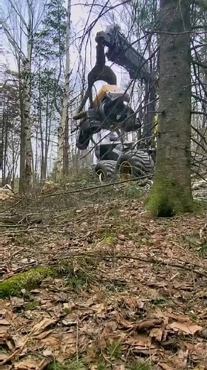 16K views · 311 reactions | #amazingview | Machine World | Facebook