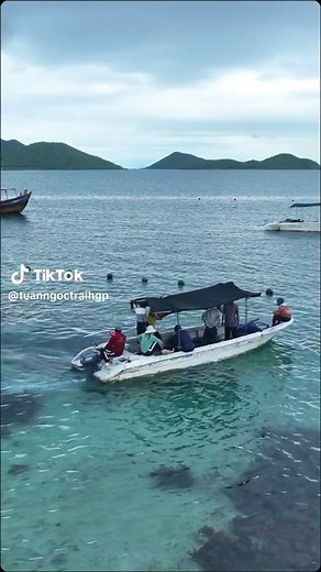 5.8K views · 14 reactions | Theo chân Hoàng Gia Pearl khám phá trại nuôi trai với mô hình nuôi cấy chuyên nghiệp theo công nghệ Nhật Bản tại tỉnh Khánh Hòa. #trainuoi #hoanggiapearl #ngoctrai #pearlfarm | Ngọc Trai Hoàng Gia | Facebook