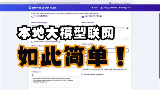 自制了一个本地大模型联网搜索插件