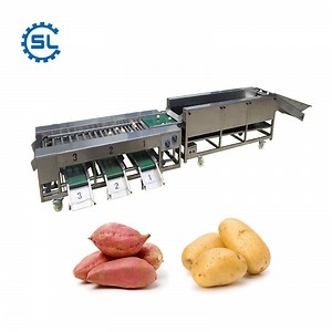 [Hot Item] Advanced Potato Grading and Sorting Machine for Efficient Factories