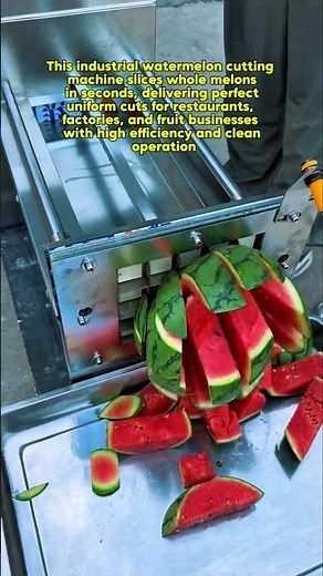 INSANE Watermelon Cutting Machine Fastest Commercial Slicer Ever Satisfying Fruit Processing Tech