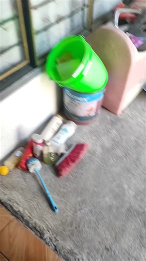 Gato Negro Desaparece: ¿Qué Está Pasando Aquí?