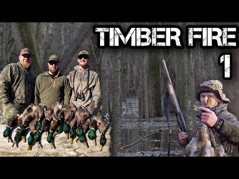 NON-STOP Timber Duck Hunting (Best Hunts All in One) Full Movie