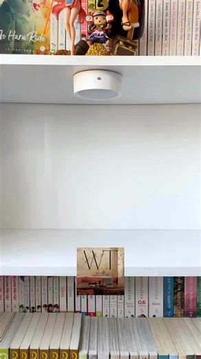 Your adventure awaits! 🗺️ Get the One Piece Manga Box Set (Vol 1-23). Use code NEW25 for 25% OFF your order. Plus, we'll ship it for FREE! Shop now. | What's Trendy