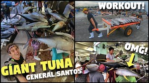 160K views · 8.7K reactions | General Santos Fish Port not only has...