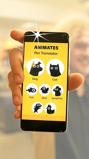 Ever wonder what your pet is trying to tell you? Introducing the Animates Pet Translator App! ✨ Using cutting-edge AI technology, our app can accurately translate your pet's vocalisations or sounds into words, helping you understand their needs like never before. From barks to meows, chirps to squeaks, unlock the secret language of your pets today! 🐶🐱🐠 Learn more in the comments! | Animates Vetcare NZ
