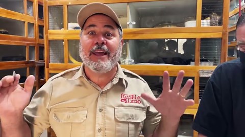 WHATS IN THE EGG? (World's RAREST Snake Born THROWBACK)