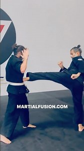Aikido with Kicking Techniques
