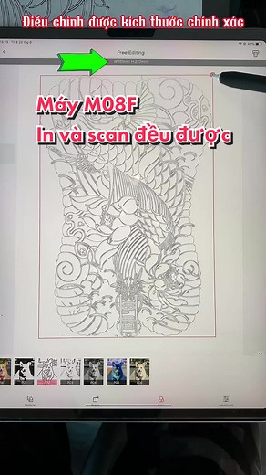 Máy in và scan: Scan hình kín lưng trên điện thoại, ipad, máy tính