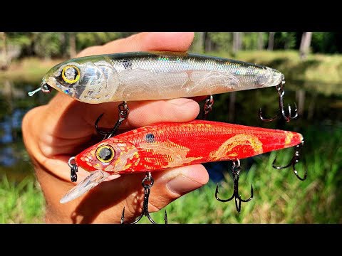 Fall fishing fails without these top three lures