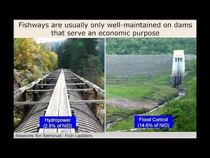 Dam Removal Project Management: Dam Removal 101, Part 1 of 2