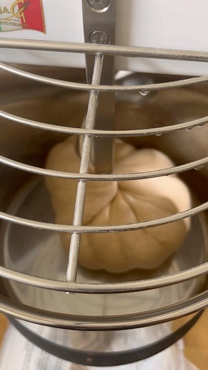 100% hydration whole wheat Italian bread dough in the Famag im10 #famag #freshmilledflour #homemadebread | Lovely Bell Bakes