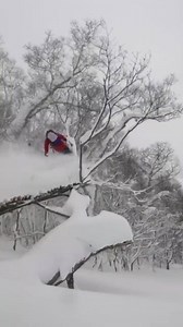 73K views · 196 shares | We're about to make one epic video featuring Chris Rubens, Cody Townsend and YOU. Click to take part and show us how you play. | Salomon | Facebook