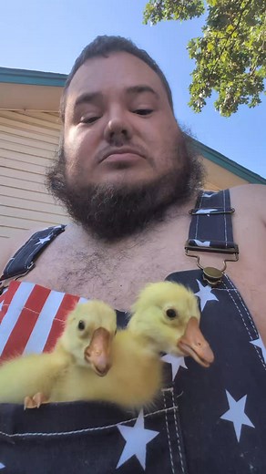 What's cuter than baby Savage's.. I mean baby goose.. geese ... Savages gooslings | Beam Farm