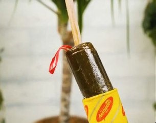 Cool hacks for indoor gardeners!