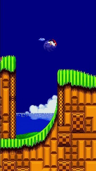 Sonic gets a haircut