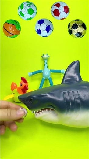 Shark mukbang candy show p319 #mukbang #eatingshow #candy