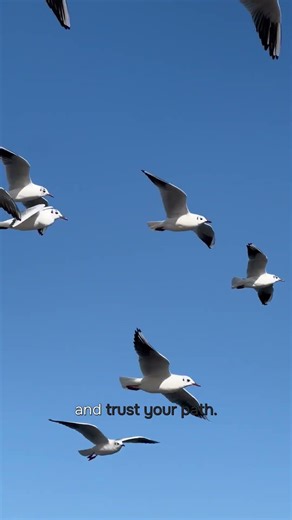 What Seagull Symbolism Reveals About You