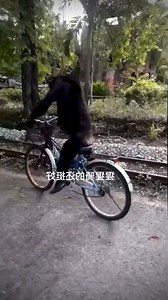 35K views · 934 reactions | smart monkey riding a bike  | Explore Snake TV | Facebook