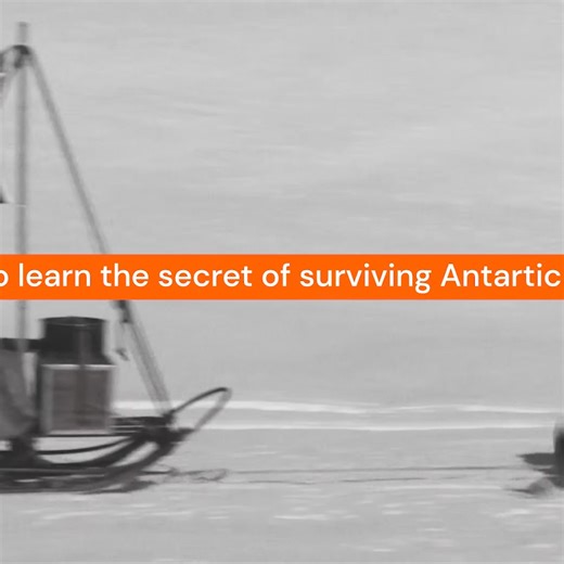 358 reactions · 36 shares | Experience a remarkable historical experiment as adventurer Tim Jarvis retraces Douglas Mawson's 1912 Antarctic Expedition to understand how Mawson survived. Narrated by William McInnes, this captivating reenactment sheds light on an incredible feat of endurance. | NFSA - National Film and Sound Archive of Australia | Facebook