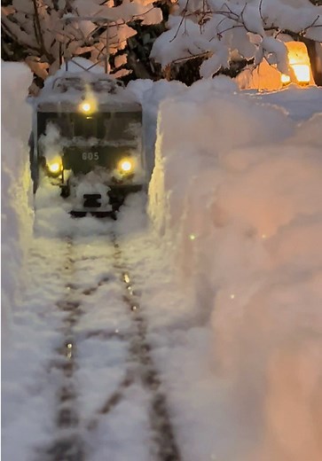 Exploring Model Trains in Winter Landscapes