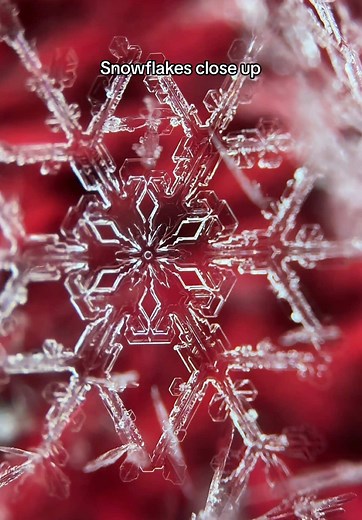 Snowflakes Close Up: Discover Their Unique Formation