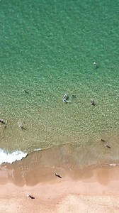 146K views · 4.2K reactions | Ok, we pulled it off before the new year! Edited some of our best shots from this last Sunday at Keawakapu Beach. We hope 2021 is the best year of your lives so far! We plan on it ourselves. ALOHA!!!! #aloha #beach #maui #hawaii | Maui Hawaii | Facebook