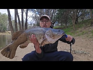 BIG MURRAY COD (and Carp) at Goulburn River