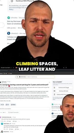 I hid a hissing cockroach as a secret pet for two years — should I tell my parents?