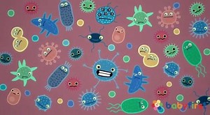 ¿Tienes a las bendiciones en casa? ¡Ponles este video y canten juntos! BabyFirst te enseña con canciones cómo evitar contagios por gérmenes y virus. | Roku Mexico