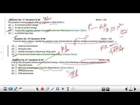 DBT BITP 2024 Question Paper Discussion | Hepatitis | Antigenic Drift & Shift