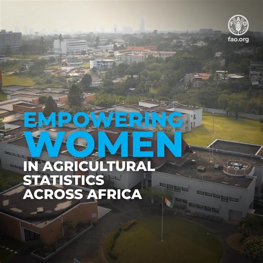 High-quality statistical training is equipping students in Africa with key skills for boosting agricultural development. See how FAO empowers young African statisticians, especially women, to close the agricultural data gap in the continent. #GirlsInSTEM #AfricanStatisticsDay | Food and Agriculture Organization of the United Nations (FAO)