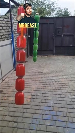 The Untold Story of MrBeast’s Family | Parents, Brother & Real Life Behind the Fame