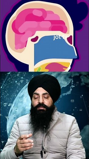 The Mysterious Uvula: What is it and What Does it Do? #Uvula, #ThroatAnatomy #HealthEducation #facts