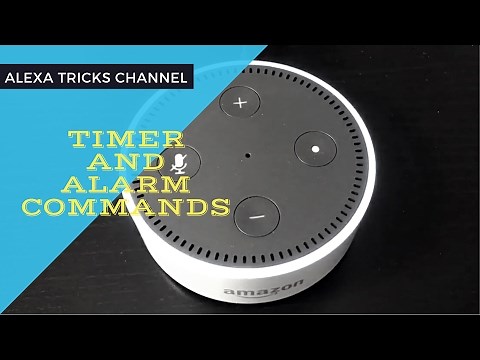 Top 10 Timer and Alarm Commands of Amazon Alexa