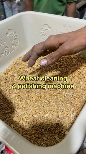3HP wheat cleaning and polishing machine.contact no 91 91111 56620 | Punjab Engineering Corporation