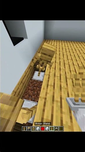 Minecraft Dual Monitor 🖥