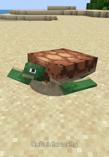 Turtle Farm in Minecraft: A Complete Guide