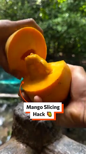2.2M views · 3.1K reactions | Secret Mango Slicing Hack 省 | Twisted | Facebook