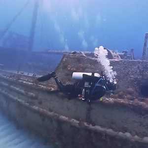 11K views · 73 reactions | See what it's like to dive Bermuda! One of our favorite dive destinations! | Scuba Diver Life | Facebook