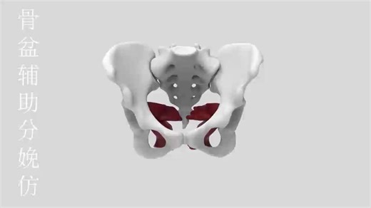 骨盆辅助分娩有限元分析&骨盆内固定有限元分析（CT、MRI提取骨骼模型、geomagic、SolidWorks和ANSYS有限元分析学习教程）