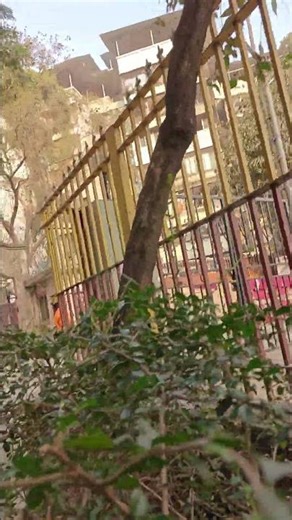 Testing algorithm...😅😅