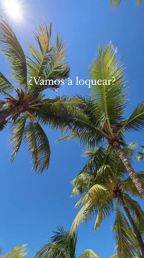 El plan perfecto si nos preguntan 🤪 💎Grand Oasis Palm #FamilyResort #AllInclusive #OasisLovesU #fyp