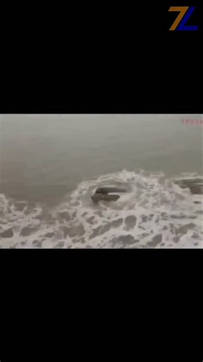 LeadNews on Instagram: "A mermaid is a mythical creature often described as having the upper body of a human and the lower body of a fish. Found in folklore across many cultures, mermaids are usually associated with the sea, beauty, and mystery. In some legends, they are benevolent beings who guide sailors or bring good fortune, while in others they are dangerous, luring ships to wreck with their songs What makes mermaids enduring in myth is their blend of familiarity and fantasy - part human, p