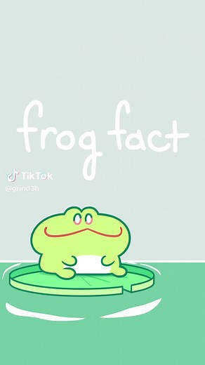 Frog Facts: Fun Insights About Frogs and Their Behavior